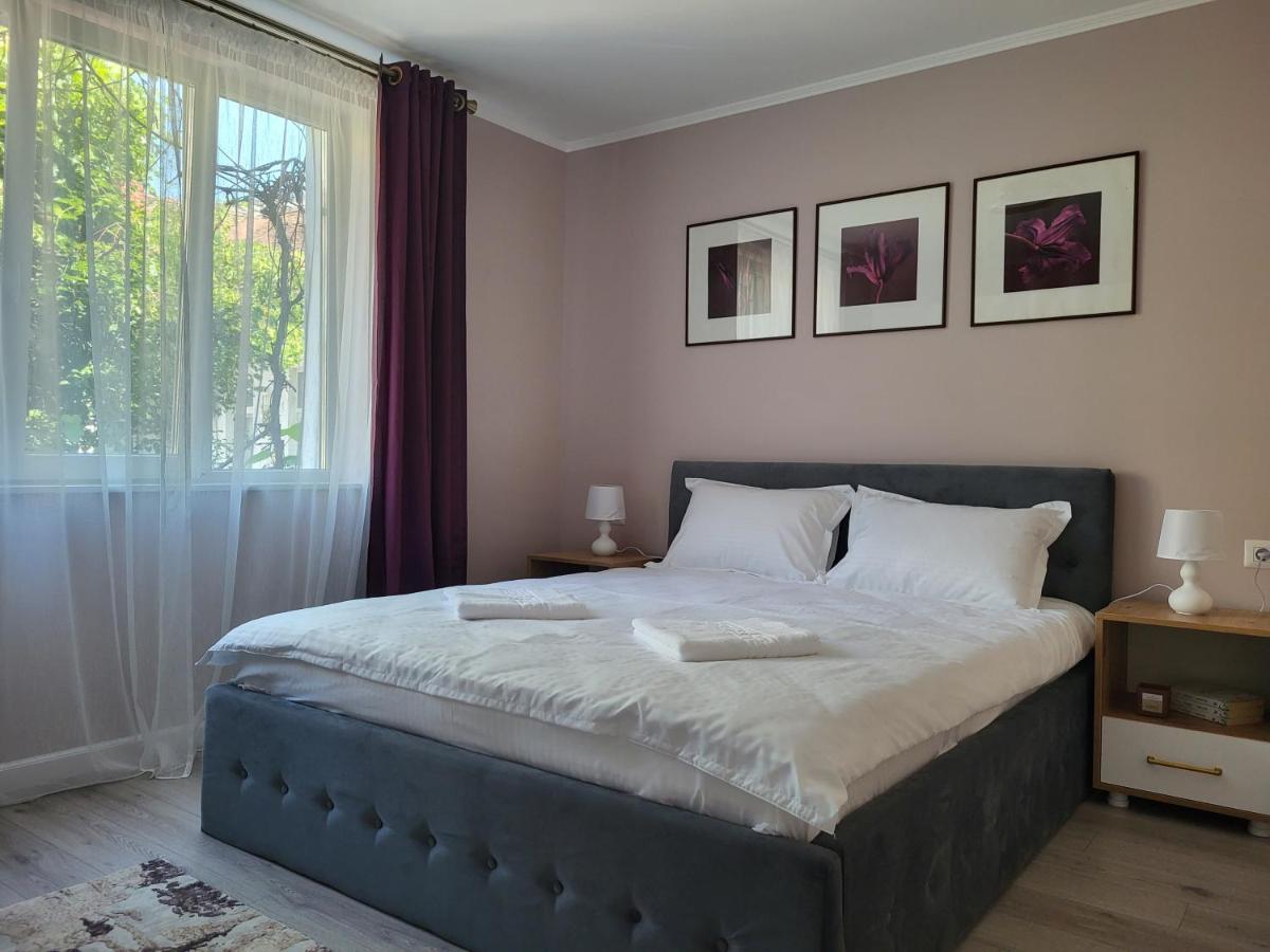 Pandora Central Apartment Kluż-Napoka Zewnętrze zdjęcie