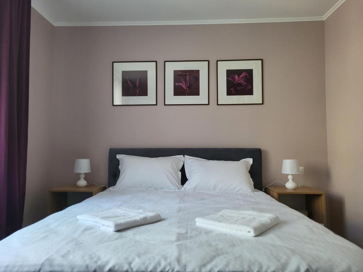 Pandora Central Apartment Kluż-Napoka Zewnętrze zdjęcie