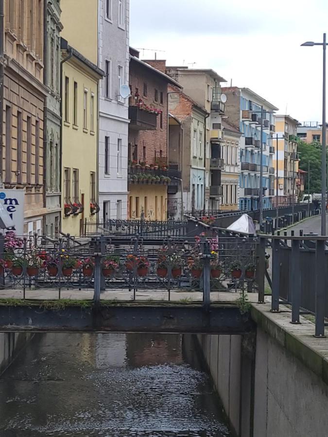 Pandora Central Apartment Kluż-Napoka Zewnętrze zdjęcie